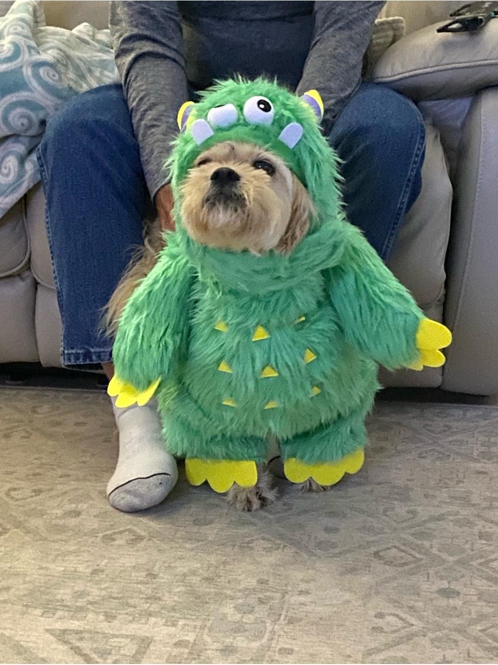 New Green Monster Dog Costume with Horns thrills ands chills collection.